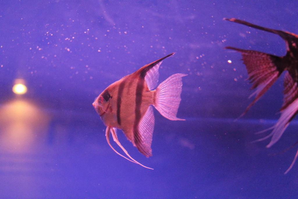 Goodhope Villa サムロイヨット エクステリア 写真